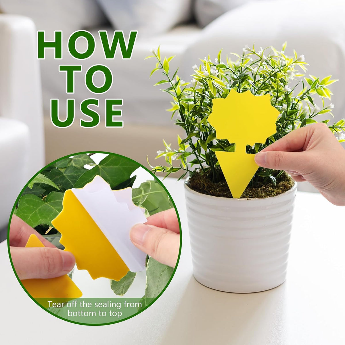 Landisun Fruit Fly Traps 48PCS Fungus Gnat-Traps for Indoor-Outdoor Yellow Fruit-Fly Sticky-Trap Plants Flying Bug Insects Traps - Cart Shape