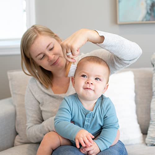 Dr. Brown's Soft and Safe Baby Brush + Comb for gentle hair care and cradle cap prevention, soft bristles, durable wood