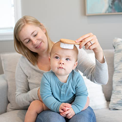 Dr. Brown's Soft and Safe Baby Brush + Comb for gentle hair care and cradle cap prevention, soft bristles, durable wood