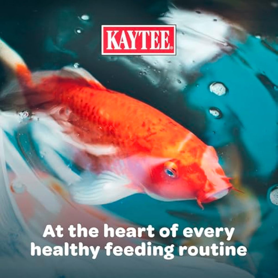 kaytee koi's choice koi floating fish food for koi goldfish and pond fish 10 pounds