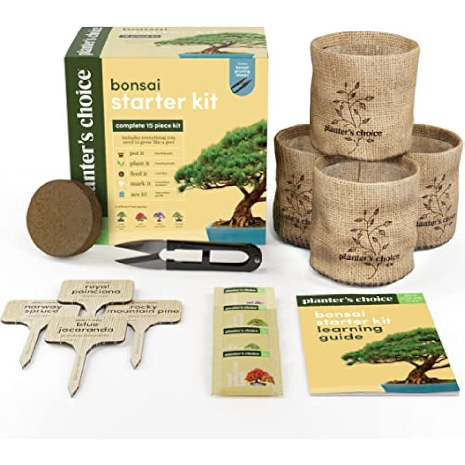 Bonsai Starter Kit - Gardening Easter Gift for Women & Men - Bonsai Tree Growing Garden Crafts Hobby Kits for Adults, Unique DIY Hobbies for Plant Lovers - Unusual Christmas Gifts Ideas