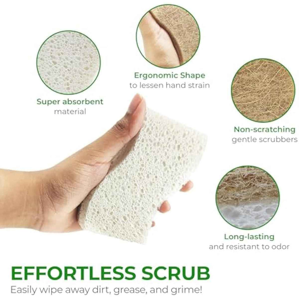 Biodegradable Natural Kitchen Sponge - Compostable Cellulose and Coconut Walnut Scrubber Sponge (12 Pack)
