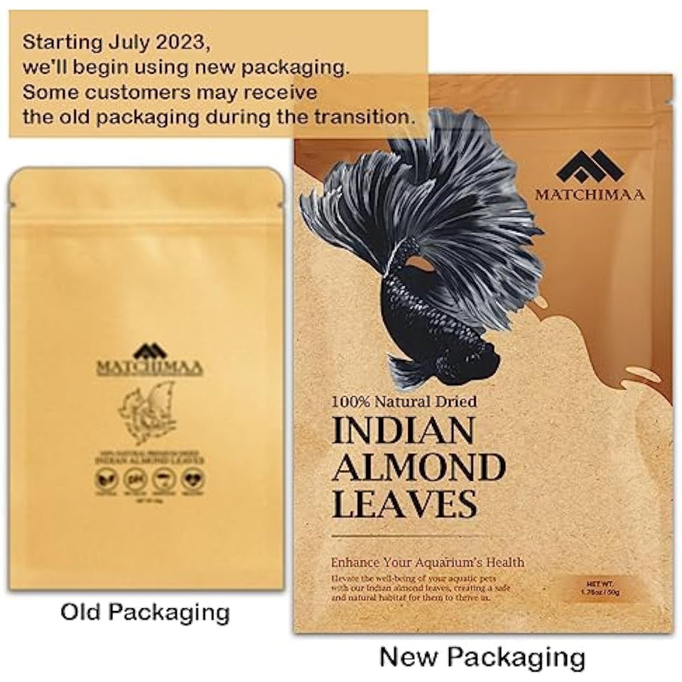 Premium Indian Almond Leave. Aquarium Decorations Size 6-9" Pack 50g(20-25 Leaves). Catappa Leaves Rich in Tannin. Superb to be Health Better, Vitality, Succesful Breeding! of Shrimp & Betta Fish Tank
