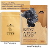 Premium Indian Almond Leave. Aquarium Decorations Size 6-9" Pack 50g(20-25 Leaves). Catappa Leaves Rich in Tannin. Superb to be Health Better, Vitality, Succesful Breeding! of Shrimp & Betta Fish Tank