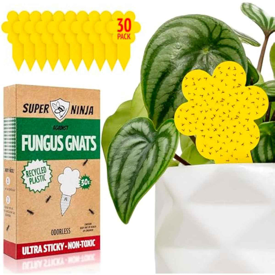 Super Ninja Fungus Gnat Traps, 30 Pack, Yellow Sticky Traps for Indoor House Plants, Non-Toxic and Nature-Friendly