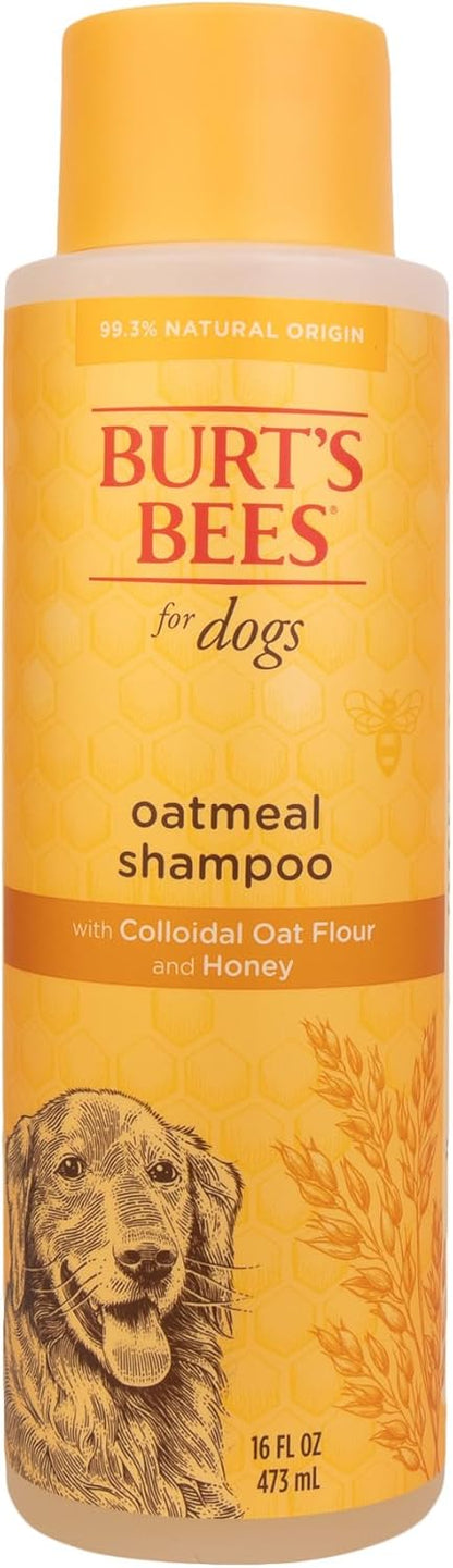 Burt's Bees for Pets Oatmeal Shampoo for Dogs with Colloidal Oat Flour and Honey - Skin Soothing Dog Oatmeal Shampoo, Moisturizing Dog Wash for Itchy Dry Skin, Essential Grooming Supplies, 16 Fl Oz