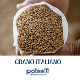 polselli organic flour type 00 all purpose double zero 5 kg 11 lbs italian grain