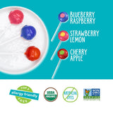 yumearth organic duo pops - allergy friendly, organic, vegan, gluten free, no artificial dyes, 20 count