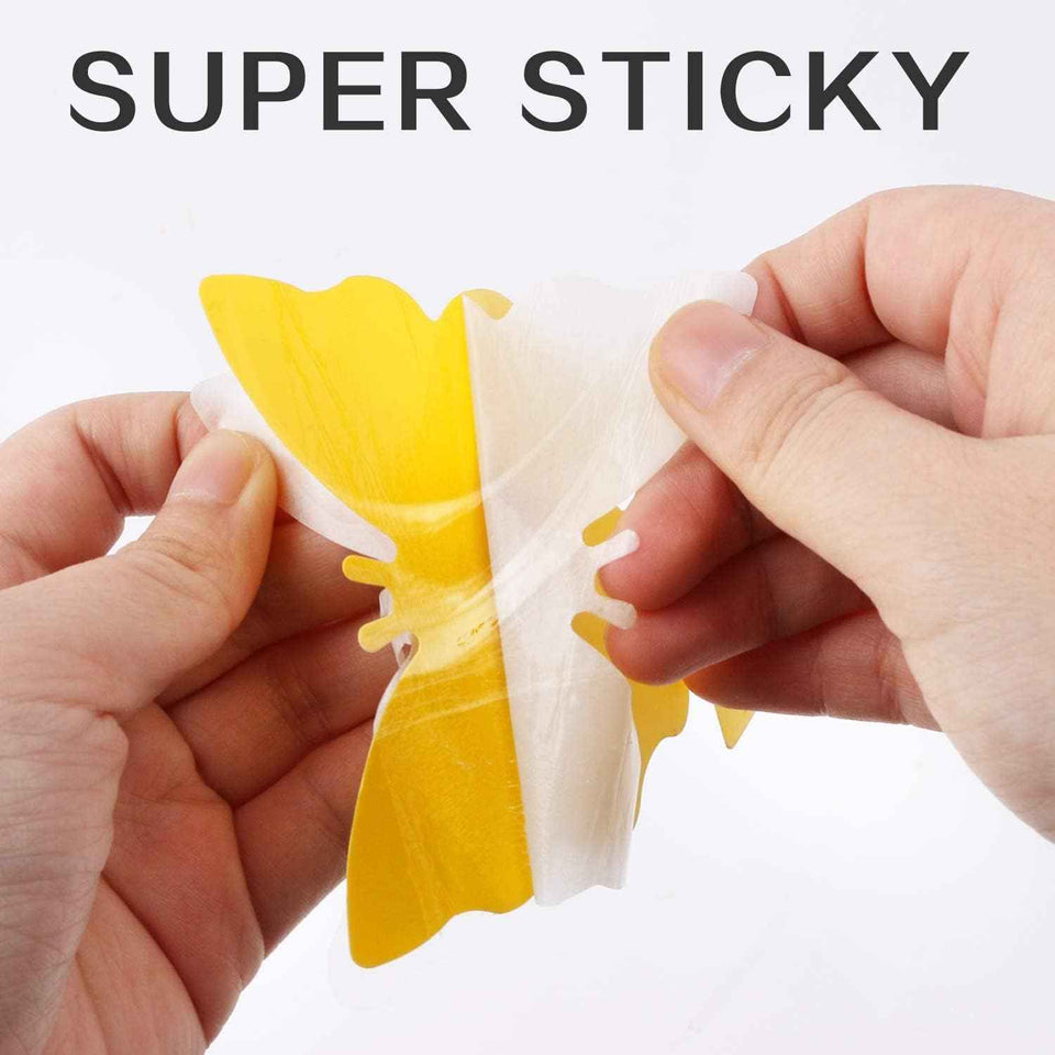 Fruit Fly Traps Fungus Gnat Traps Yellow Sticky Bug Traps 36 Pack No Harm and Odorless for Indoor Outdoor Use Protect The Plant