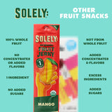 solely organic mango fruit jerky 12 individually wrapped fruit strips healthy vegan snacks