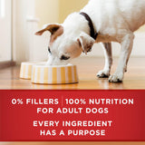 purina-one-classic-ground-chicken-and-brown-rice-entree-adult-wet-dog-food-12-pack-13-oz-cans