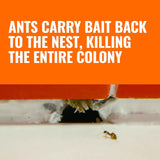 TERRO Ant Killer Bait Stations T300-3SR - Liquid Bait to Eliminate Ants - 18 Count Stations for Effective Indoor Ant Control