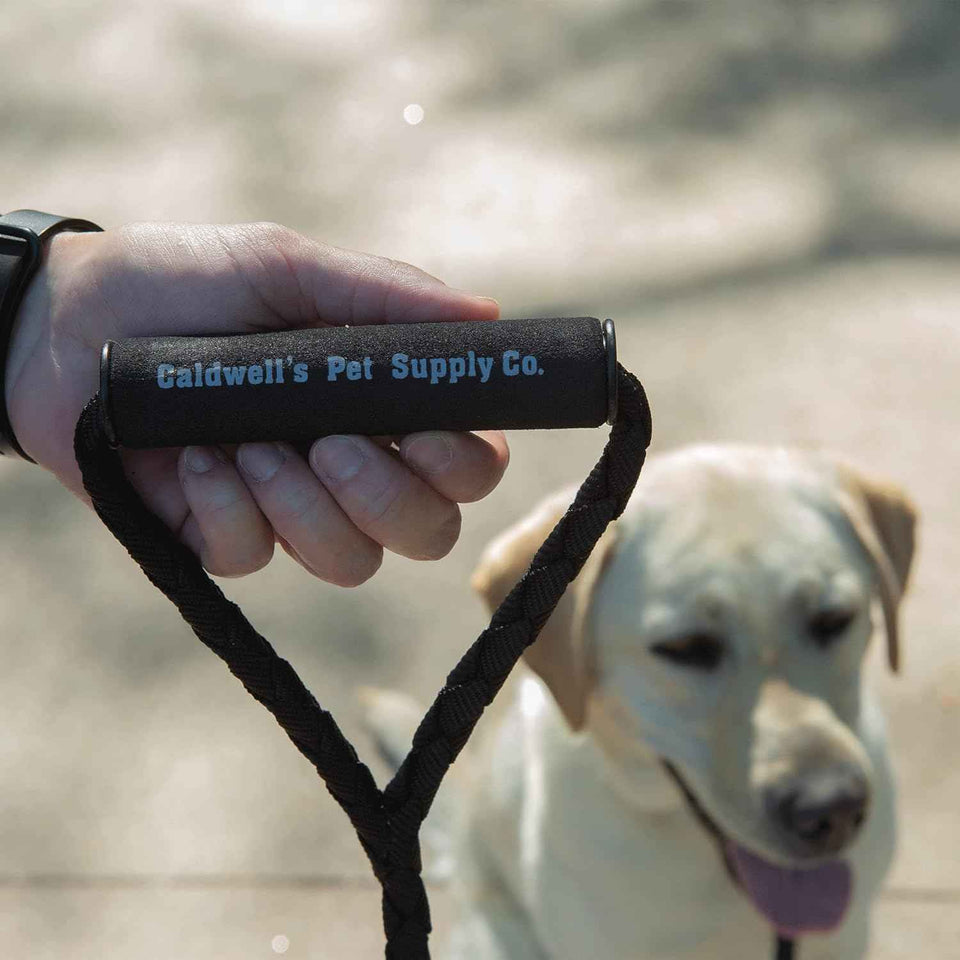 Caldwell's Pet Supply Co. Dual Dog Leash, Double Dog Leash for Two Dogs, Tangle Free, Heavy Duty Double Ended Tandem Leashes with Padded Handle with Tangle-free Swivel, for Small, Medium or Large Dogs