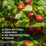 nestlady jujube dates 100 natural dried superfood king of fruits 454g