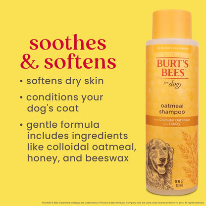 Burt's Bees for Pets Oatmeal Shampoo for Dogs with Colloidal Oat Flour and Honey - Skin Soothing Dog Oatmeal Shampoo, Moisturizing Dog Wash for Itchy Dry Skin, Essential Grooming Supplies, 16 Fl Oz
