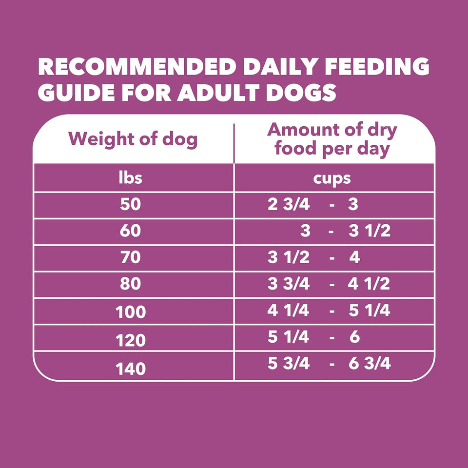 iams proactive health healthy aging large breed dog food real chicken senior dogs 30lb bag