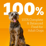 pedigree-chopped-ground-dinner-beef-bacon-variety-pack-30-3-5-oz-pouches