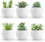 Der Rose Set of 6 Succulents Plants Artificial in Pots Small Fake Plants for Bedroom Aesthetic Living Room Shelf Bathroom Decor Office Desk Accessories