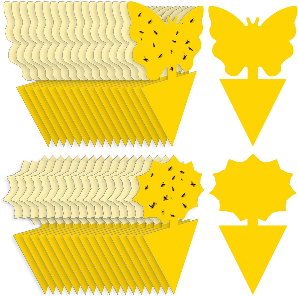 Fruit Fly Traps Fungus Gnat Traps Yellow Sticky Bug Traps 36 Pack No Harm and Odorless for Indoor Outdoor Use Protect The Plant
