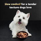 cesar loaf in sauce wet dog food rotisserie chicken, filet mignon, angus beef, and ham & egg flavors variety pack