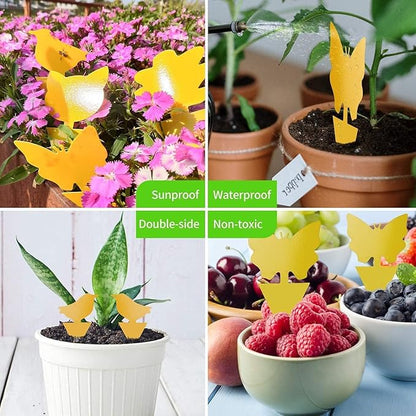 64 Pcs Sticky Trapz for gnat, Yellow Stick Traps for Plants, Fungus gnat Traps Double Side with Shovel, Indoor Safe for Gnat, Fruit Fly, White Fly, Aphid, Leaf Miner - Cart Shape