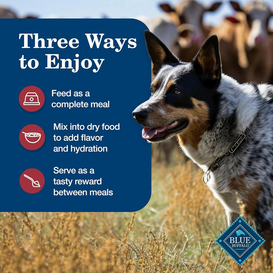 blue buffalo homestyle recipe adult wet dog food, chicken and beef dinner variety pack, 12.5-oz cans, 6 count, 3 of each
