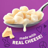 Annie's Organic Pasta Shells and White Cheddar, 6 oz, 12-pack, Made with Real Cheese