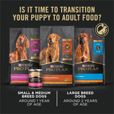 Purina Pro Plan High Protein Dry Puppy Food, Chicken and Rice Formula, 6 lb. Bag