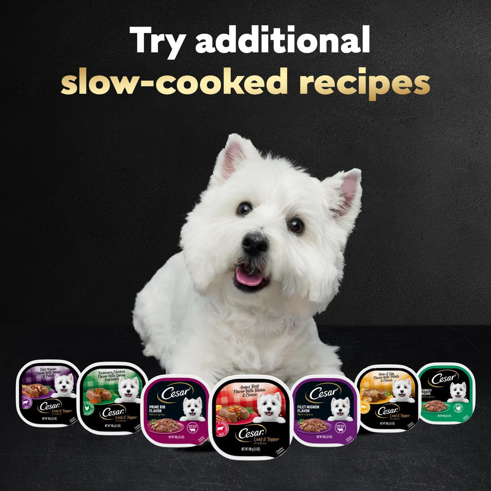 cesar loaf in sauce wet dog food rotisserie chicken, filet mignon, angus beef, and ham & egg flavors variety pack