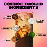everyday dose premium adaptogenic mushroom coffee with grass-fed collagen 30 servings