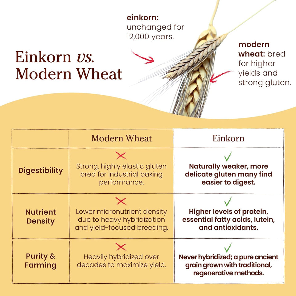jovial organic einkorn unbleached all purpose flour for bread baking sourdough pizza pasta 32 oz