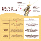 jovial organic einkorn unbleached all purpose flour for bread baking sourdough pizza pasta 32 oz