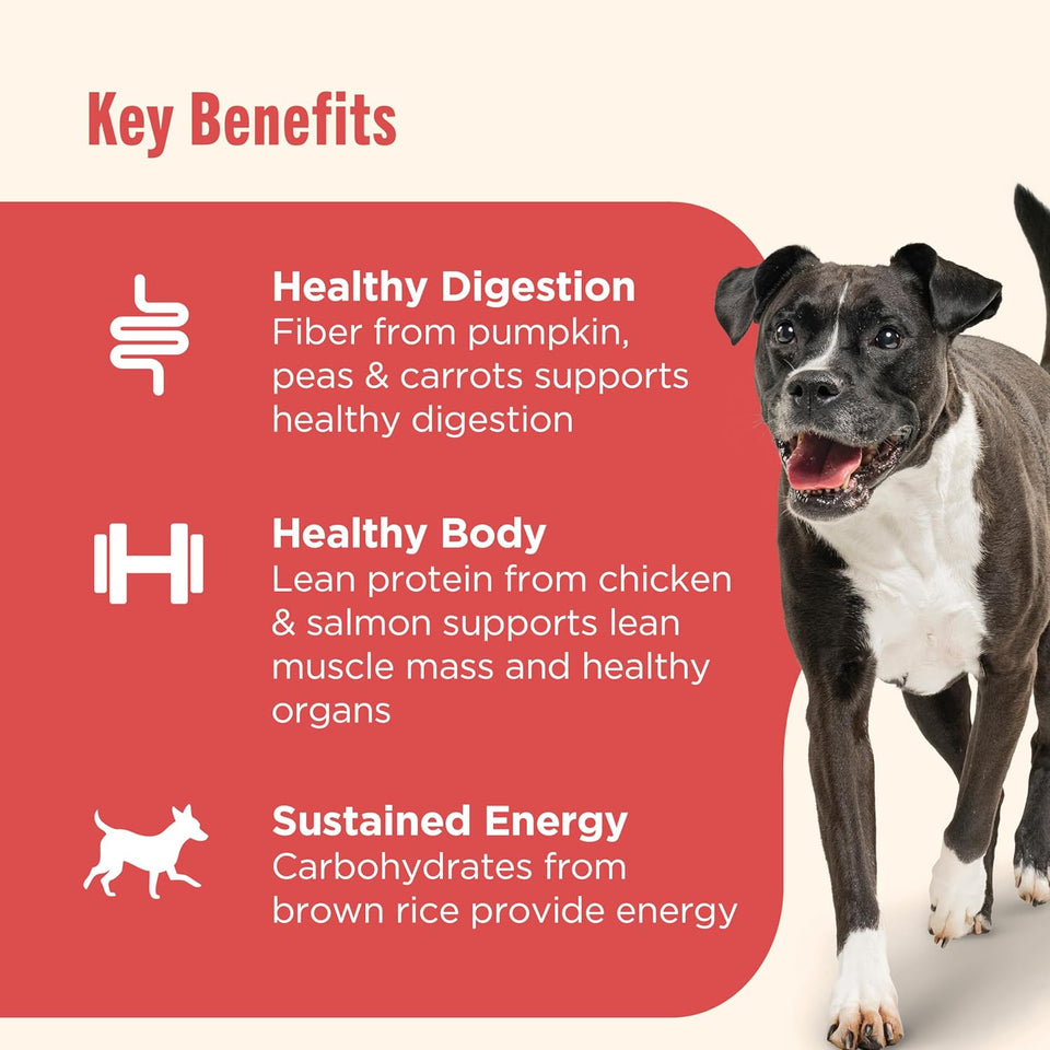 rachael ray nutrish gentle digestion premium paté wet dog food real chicken pumpkin & salmon recipe 12 count