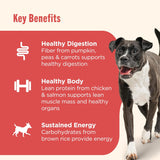 rachael ray nutrish gentle digestion premium paté wet dog food real chicken pumpkin & salmon recipe 12 count