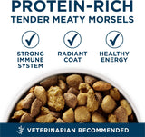 Purina ONE Plus Large Breed Adult Dog Food Dry Formula, 40 lb. Bag - Natural Chicken Flavor, 100% Real Protein