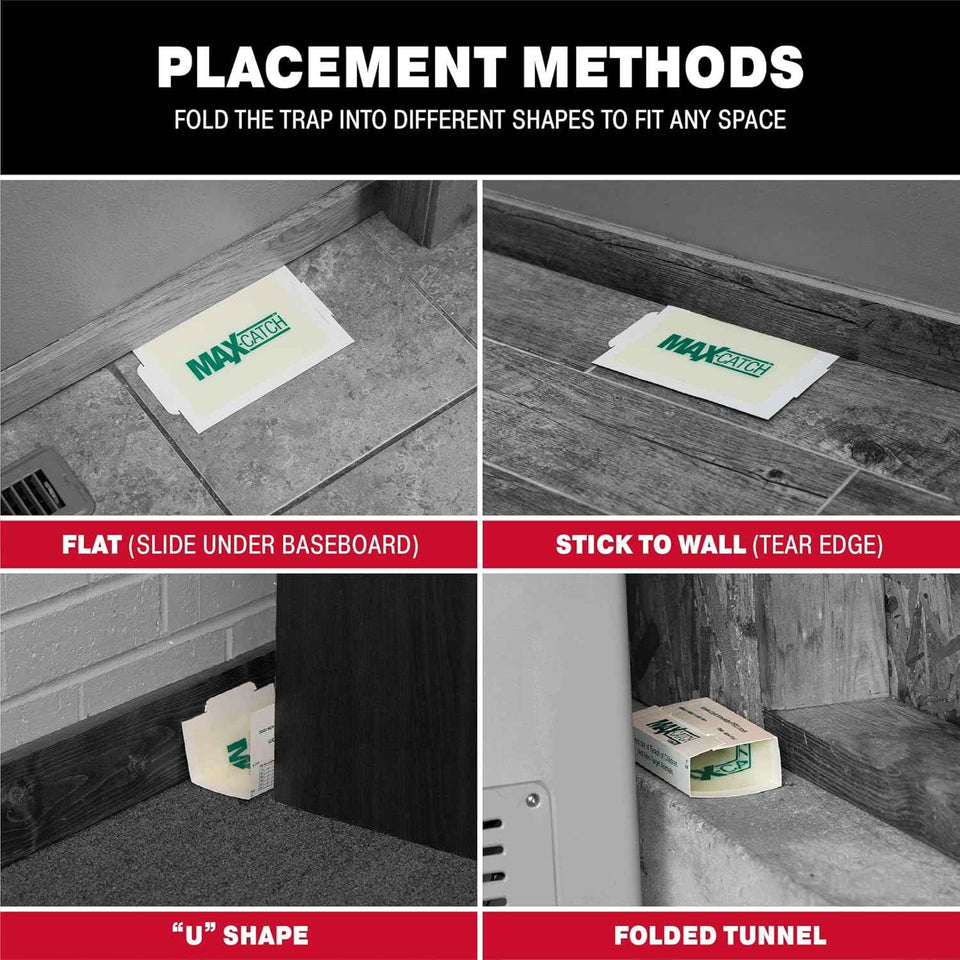 Catchmaster Max-Catch Mouse & Insect Glue Trap 36PK, Mouse Traps Indoor for Home, Sticky Pest Control Adhesive Tray for Catching Bugs, Non Toxic Bulk Unscented Glue Boards