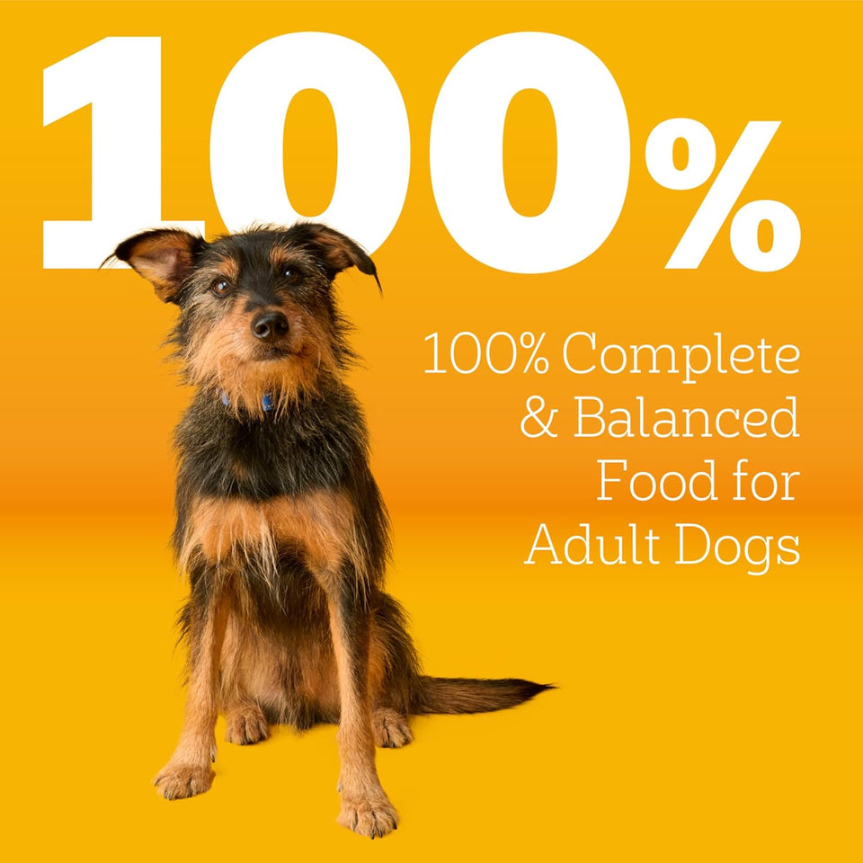 Pedigree Complete Nutrition Adult Dry Dog Food, Steak and Vegetable Flavors, 18 lb Bag, High-Quality Protein and 36 Vitamins