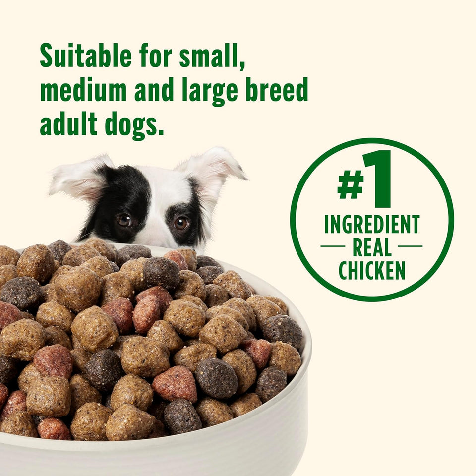 Rachael Ray Nutrish Dry Dog Food Real Chicken & Veggies Recipe Whole Health Blend, 40 lbs for Adult Dogs