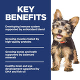Hills Science Diet puppy small mini breeds dry dog food, chicken brown rice, 4.5 lb bag, small breed puppy food