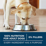 Purina ONE Plus Large Breed Adult Dog Food Dry Formula, 40 lb. Bag - Natural Chicken Flavor, 100% Real Protein