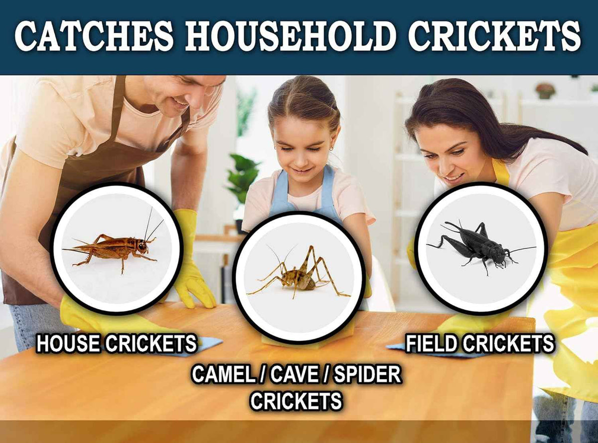 MaxGuard Extra Large Cricket Traps (8 Traps) | Non-Toxic Extra Sticky Glue Board Pre-Baited Cricket Attractant Trap & Kill House Crickets, Insects, Spiders, Bugs