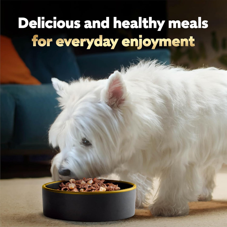 cesar-home-delights-classic-loaf-in-sauce-adult-wet-dog-food-breakfast-dinner-variety-pack