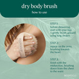 EcoTools cruelty-free dry body brush with synthetic bristles and bamboo handle, perfect for exfoliating and smoothing skin