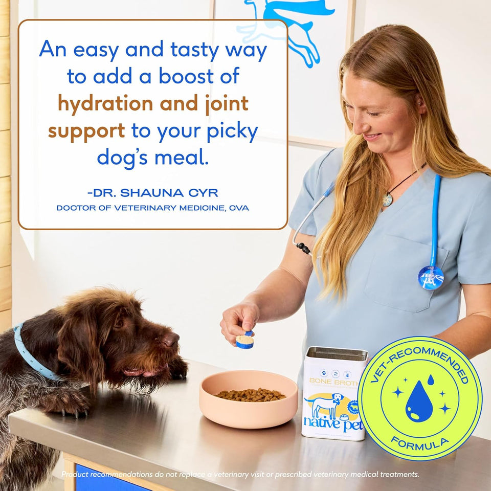 Native Pet Bone Broth for Dogs - Made with Real Grass-Fed Beef, Dog Food Toppers for Picky Eaters - Hydration & Nutrition for Joint Health, 48 Scoops
