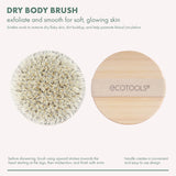 EcoTools cruelty-free dry body brush with synthetic bristles and bamboo handle, perfect for exfoliating and smoothing skin