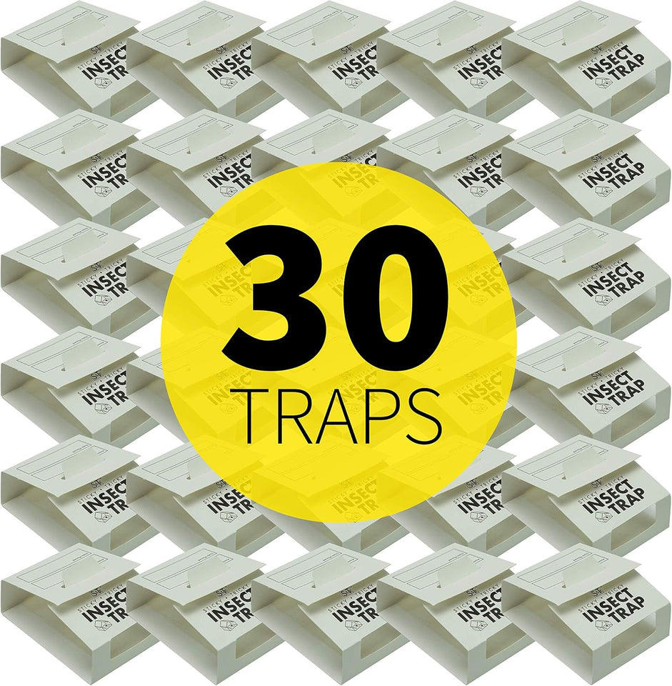 S&T INC. Insect Traps, 30 Count, Glue Traps for Brown Recluse, Hobo Spiders, Black Widows, Use in Home, Basement or Garage, or Utility Rooms for Pest Control