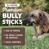 Mighty Paw 12" All Natural Grass Fed Beef Bully Sticks for Large Dogs and Small Breeds - Single Ingredient Treats