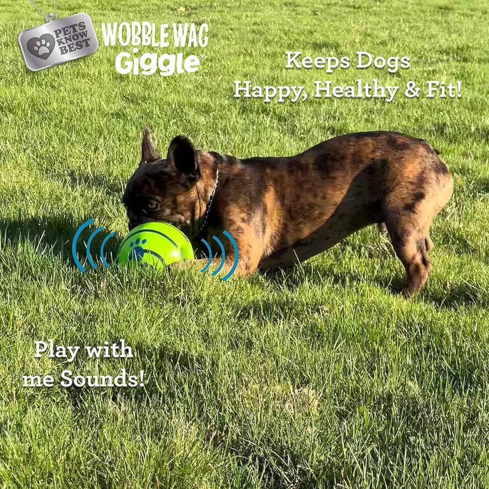 Wobble Wag Giggle Ball | Rolling Enrichment Toy for Fun Playtime, Interactive Play for Indoor or Outdoor, Keeps Dogs & Puppies Large, Medium or Small Busy & Moving, As Seen on TV | Pack of 1