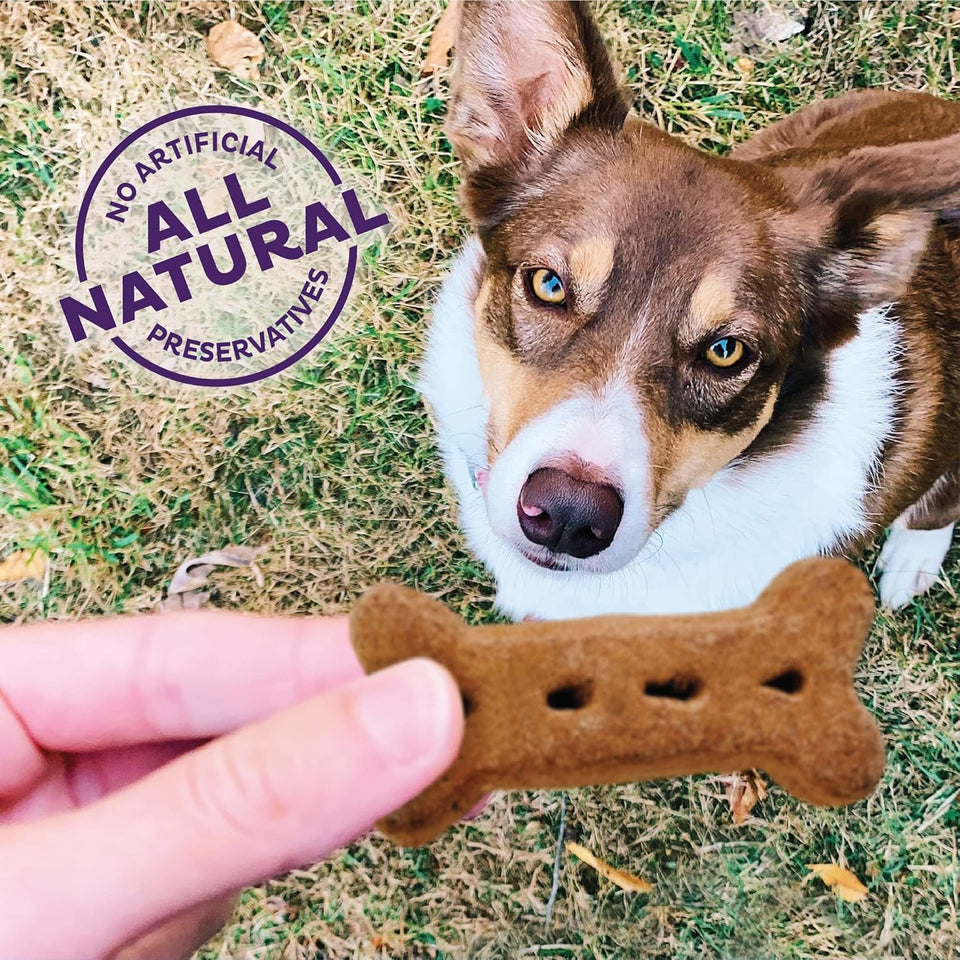 Old Mother Hubbard Natural Peanut Butter Dog Biscuits, Large Size, Training Treats, 6-Pound Box