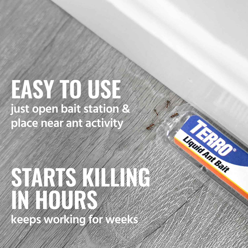 TERRO Ant Killer Bait Stations T300-3SR - Liquid Bait to Eliminate Ants - 18 Count Stations for Effective Indoor Ant Control